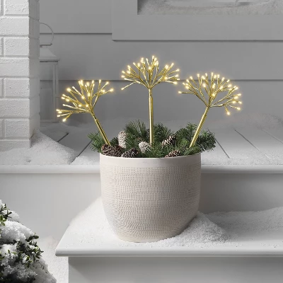 18" LED Gold Starburst Christmas Novelty Sculpture Light Warm White - Wondershop™